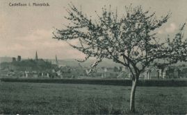 Hier geht es zur Karte mit dem Motiv 'Blühender Baum vor Kastellaun'