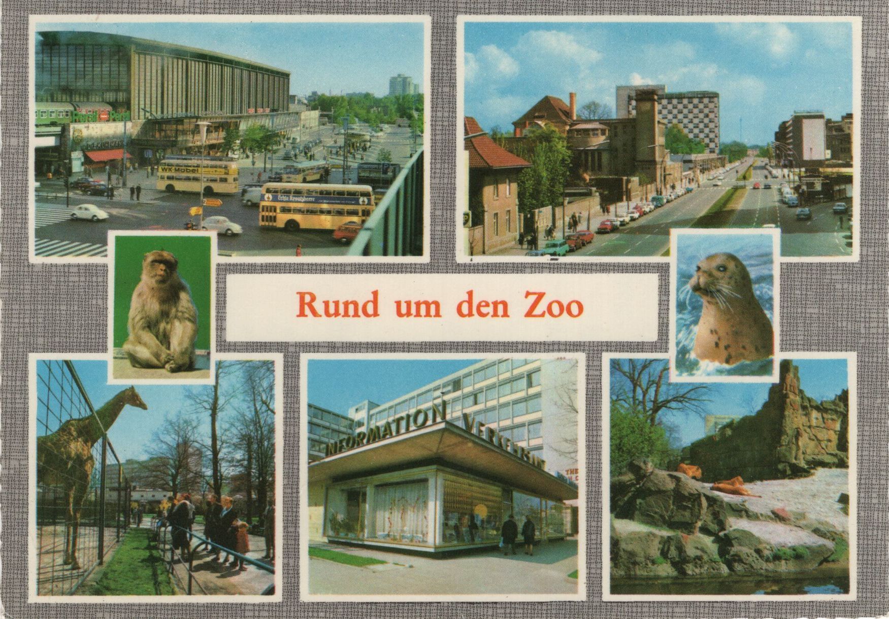 Hier geht es zur Karte mit der Nummer '4884'